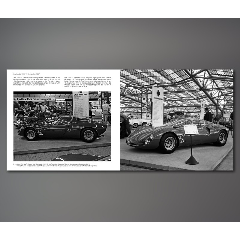 Alfa Romeo Tipo 33 / 1967 Alfa Romeo Tipo 33 / 1967