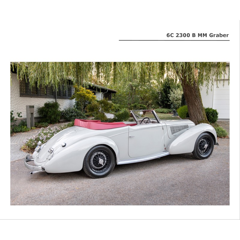 Alfa Romeo - La Passione 6C 2300 - 6C 2500 - 1934-1953