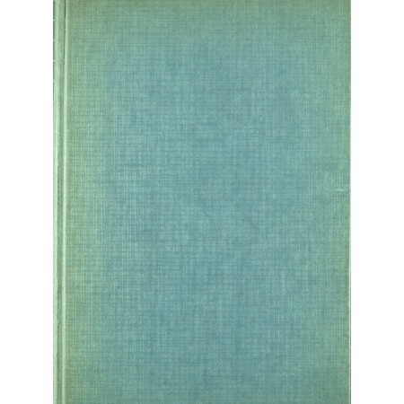 Irrésistibles moteurs (un des vingt au départ)