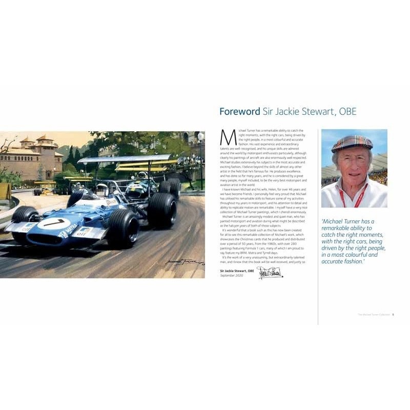 The Michael Turner Collection