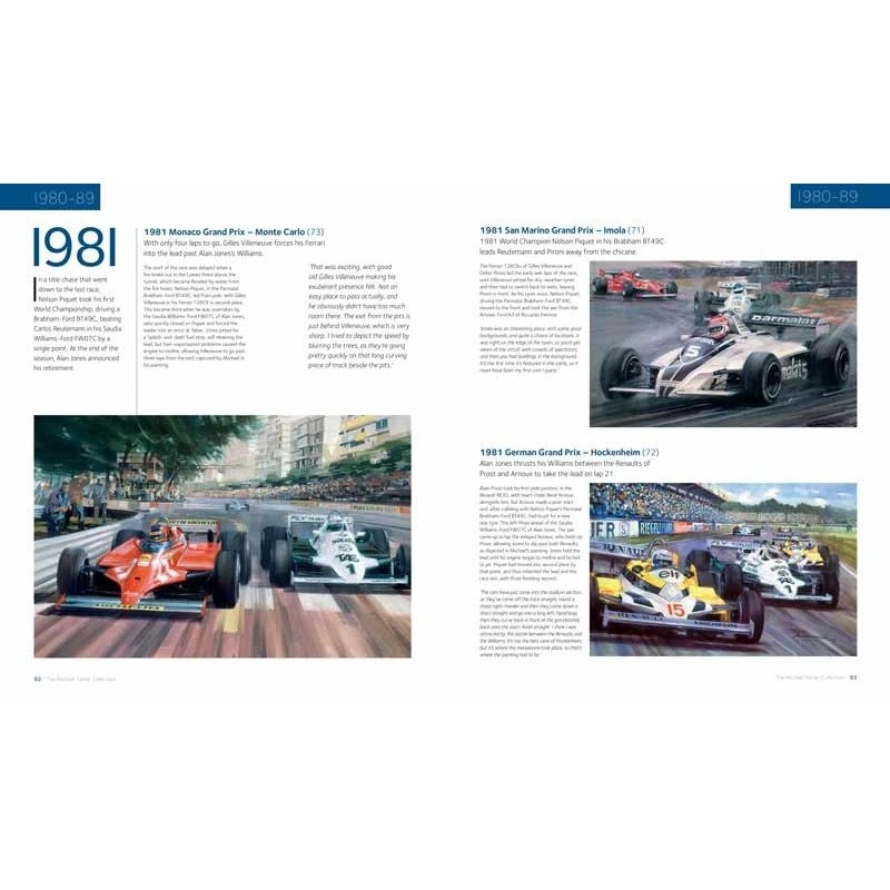 The Michael Turner Collection