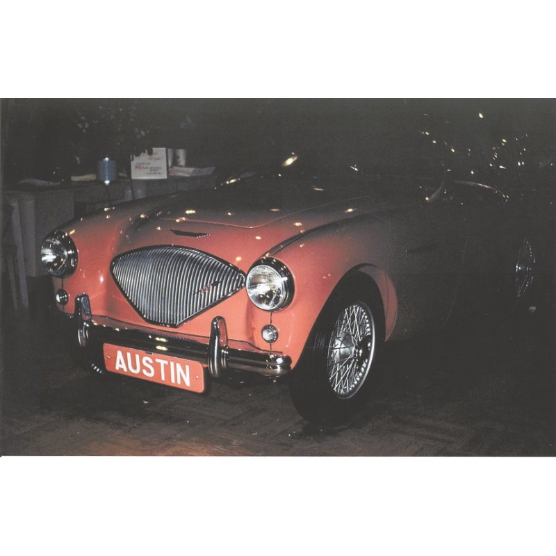 Austin Healey 100 - The Thoroughbred of Warwick Austin Healey 100 - The Thoroughbred of Warwick