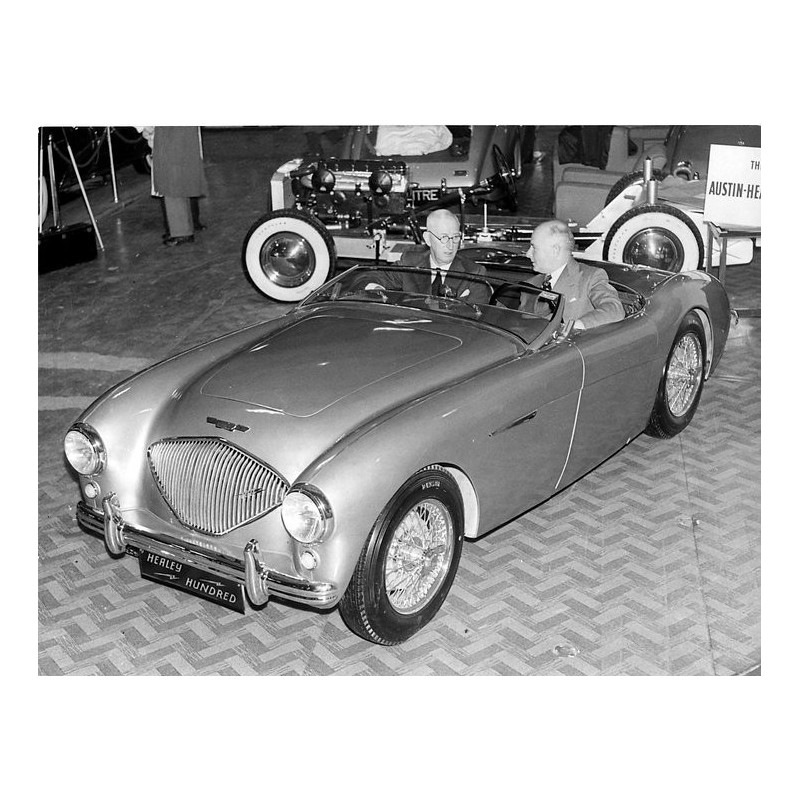 Austin Healey 100 - Le pur sang de Warwick