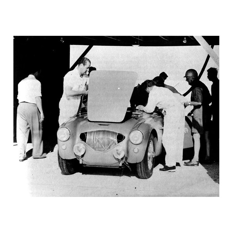 Austin Healey 100 - Le pur sang de Warwick