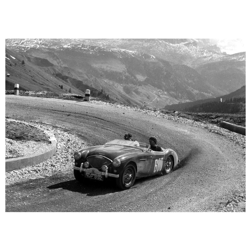 Austin Healey 100 - Le pur sang de Warwick