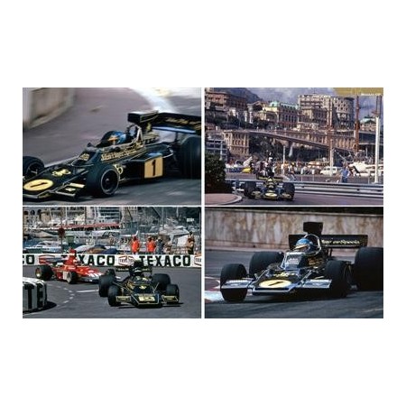 Racing Pictorial Series by HIRO No.8 Lotus 72 & 76 1973-75