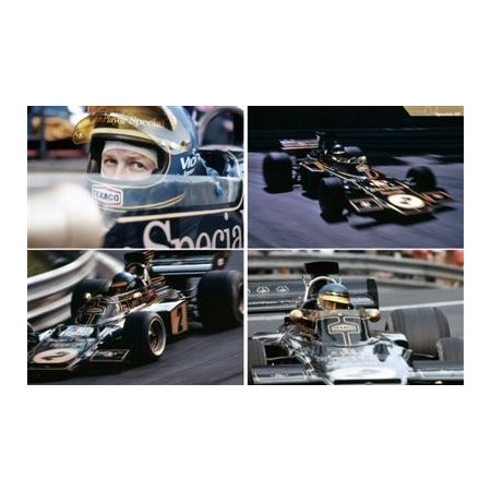 Racing Pictorial Series by HIRO No.8 Lotus 72 & 76 1973-75