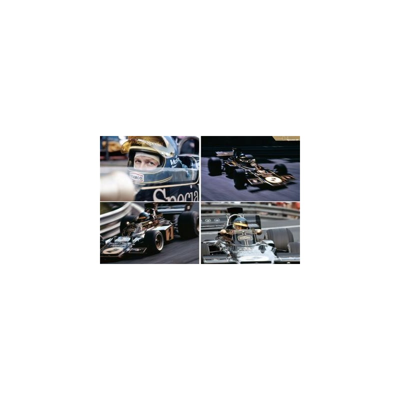 Racing Pictorial Series by HIRO No.8 Lotus 72 &amp; 76 1973-75